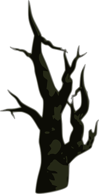 Tree, Dry, Trunk, Dead Tree - Dead Tree Clip Art (326x640)