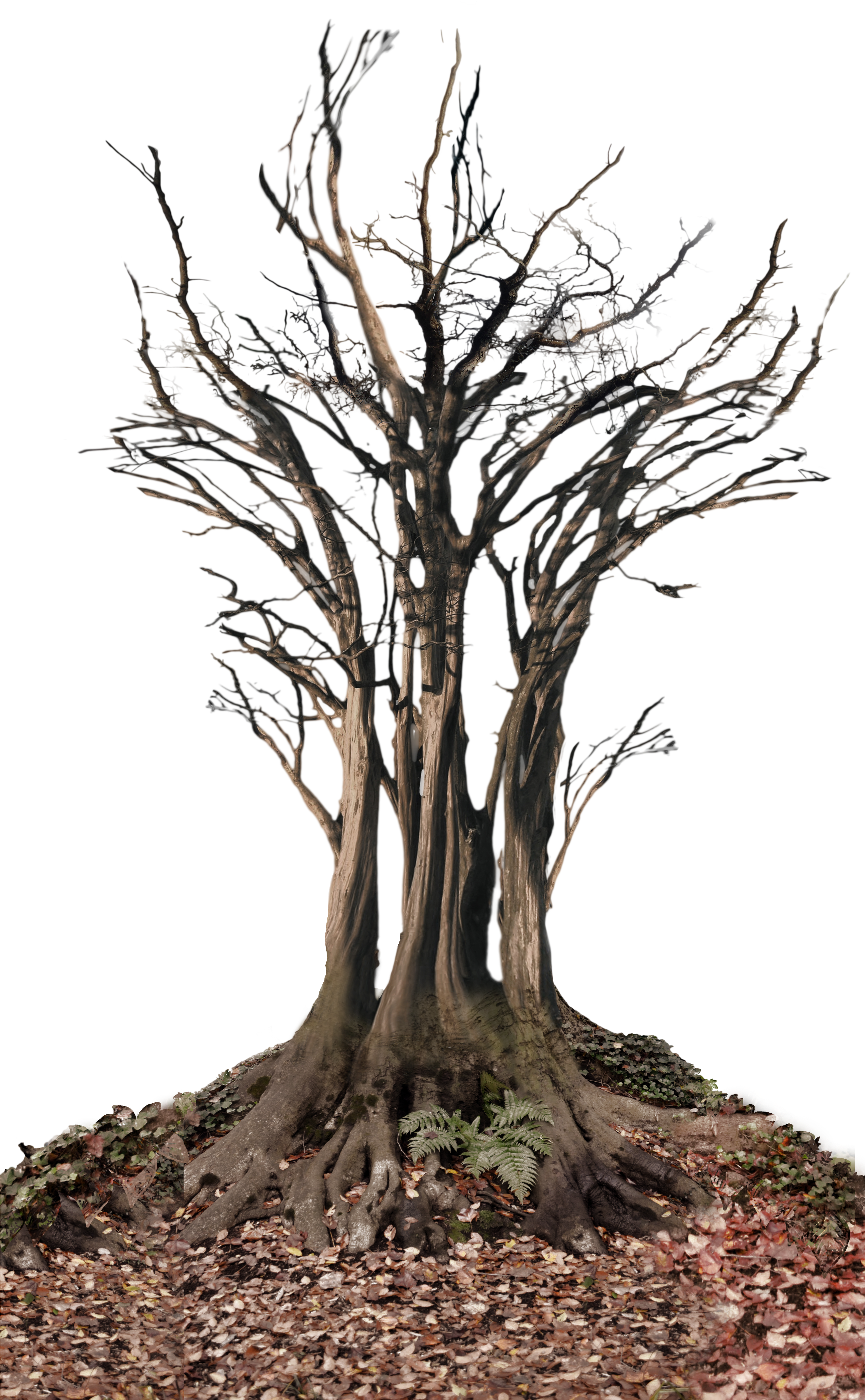 Dead Tree In Landscape Png Stock Photo 0361 By Annamae22 - Dead Tree Png (3265x5490)