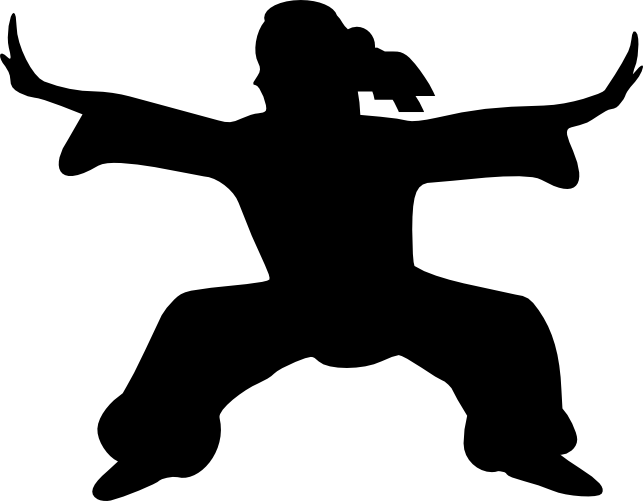 Volleyball, Wushu, Taekwondo - Wushu Logo (643x501)