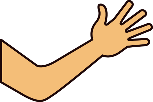 Hand To Elbow Clip Art (600x403)