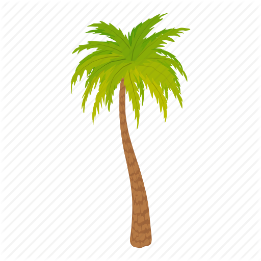 Palm Trees Cartoon - Palm Tree Vector (512x512)