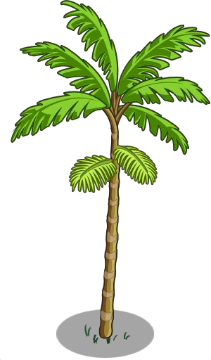 Arvore De Açaizeiro (300x512)