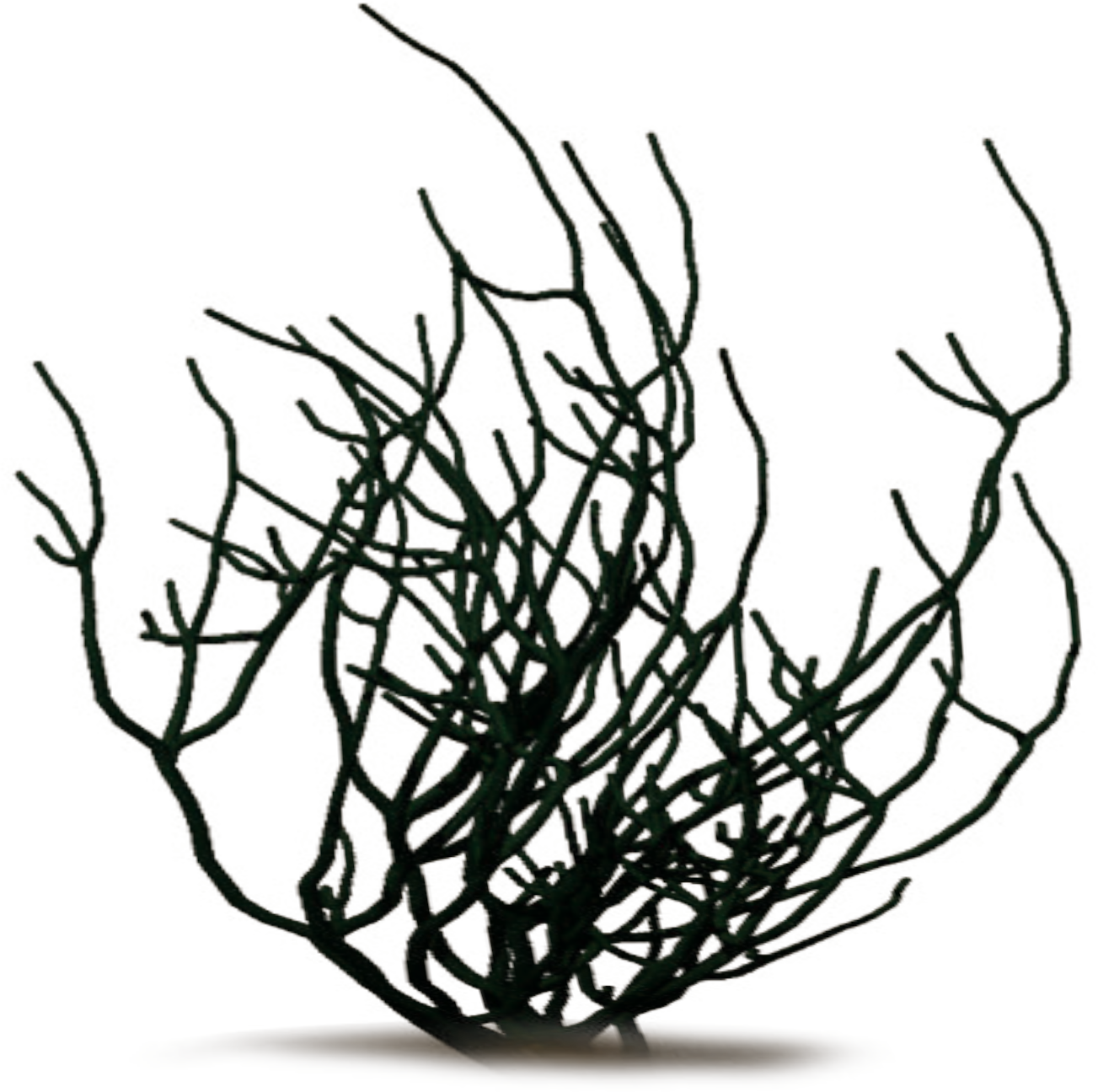 Clipart Of Res, Anniversary January And Annaprashan - Grass (1303x1296)