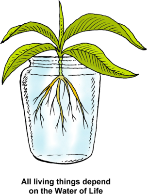 Dependent Clipart - Living - Water Of Life Clip Art (303x400)