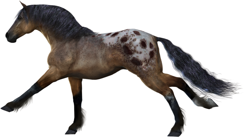 Horse Clipart Transparent Background - Horse (900x655)