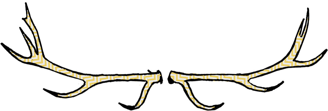 Sun Clipart Divider - Illustration (1399x489)