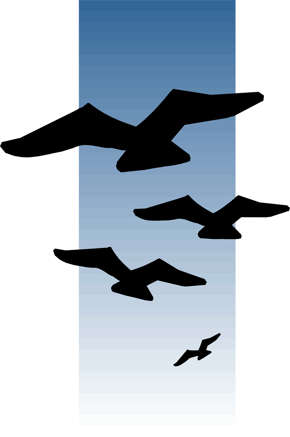 Seagull Clipart Bird Fly - Paint Birds Flying In The Distance (958x1443)