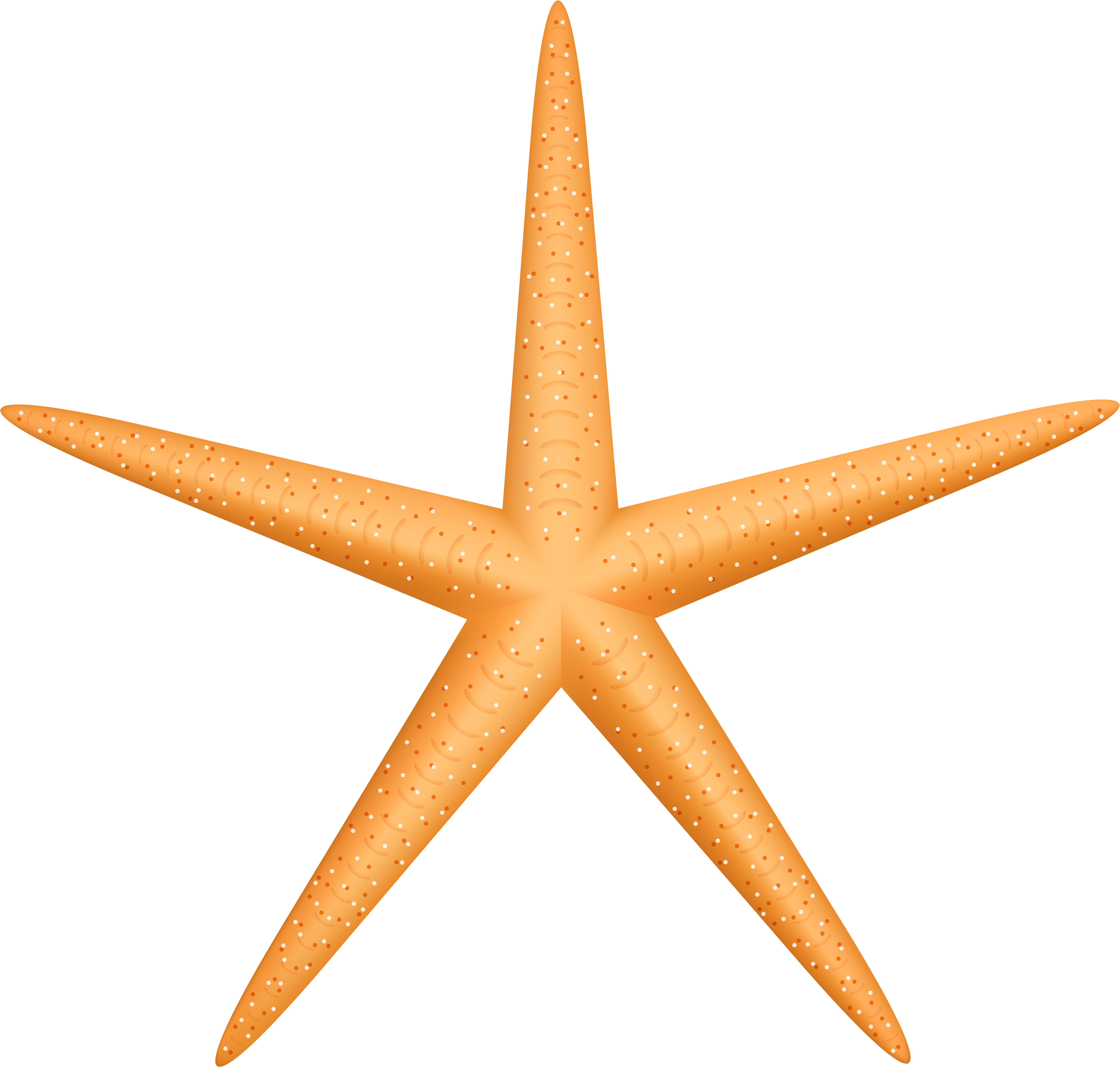 Yellow Starfish Png Clip Art - Yellow Starfish Png Clip Art (8000x7609)