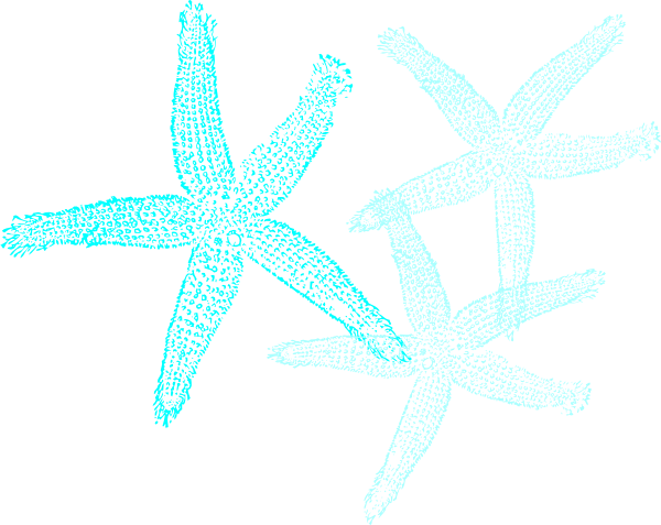 Starfish Prints Clip Art - Fish Clip Art (600x477)