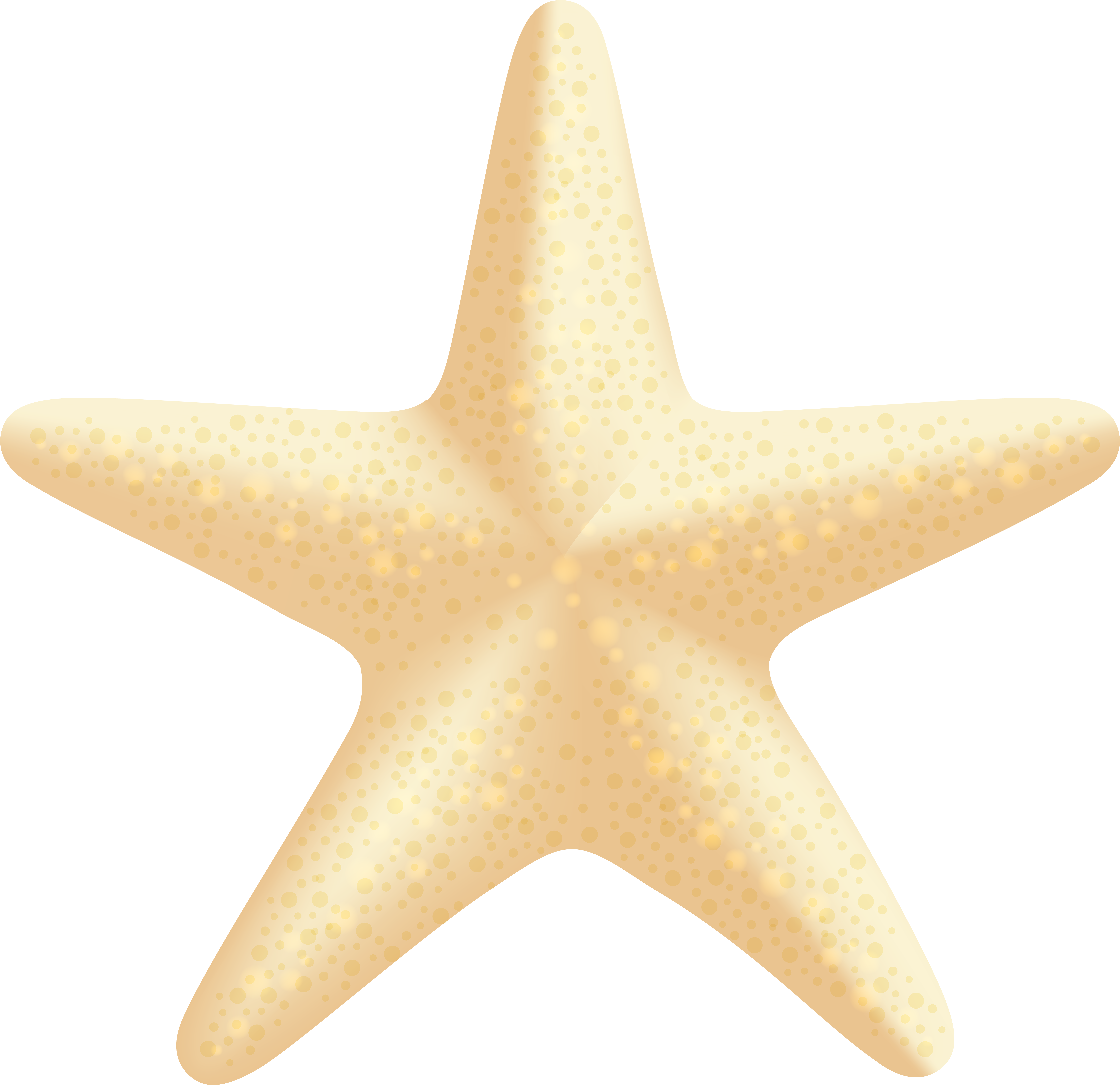 Sea Star Png Clip Art Image - Sea Star Png Clip Art Image.