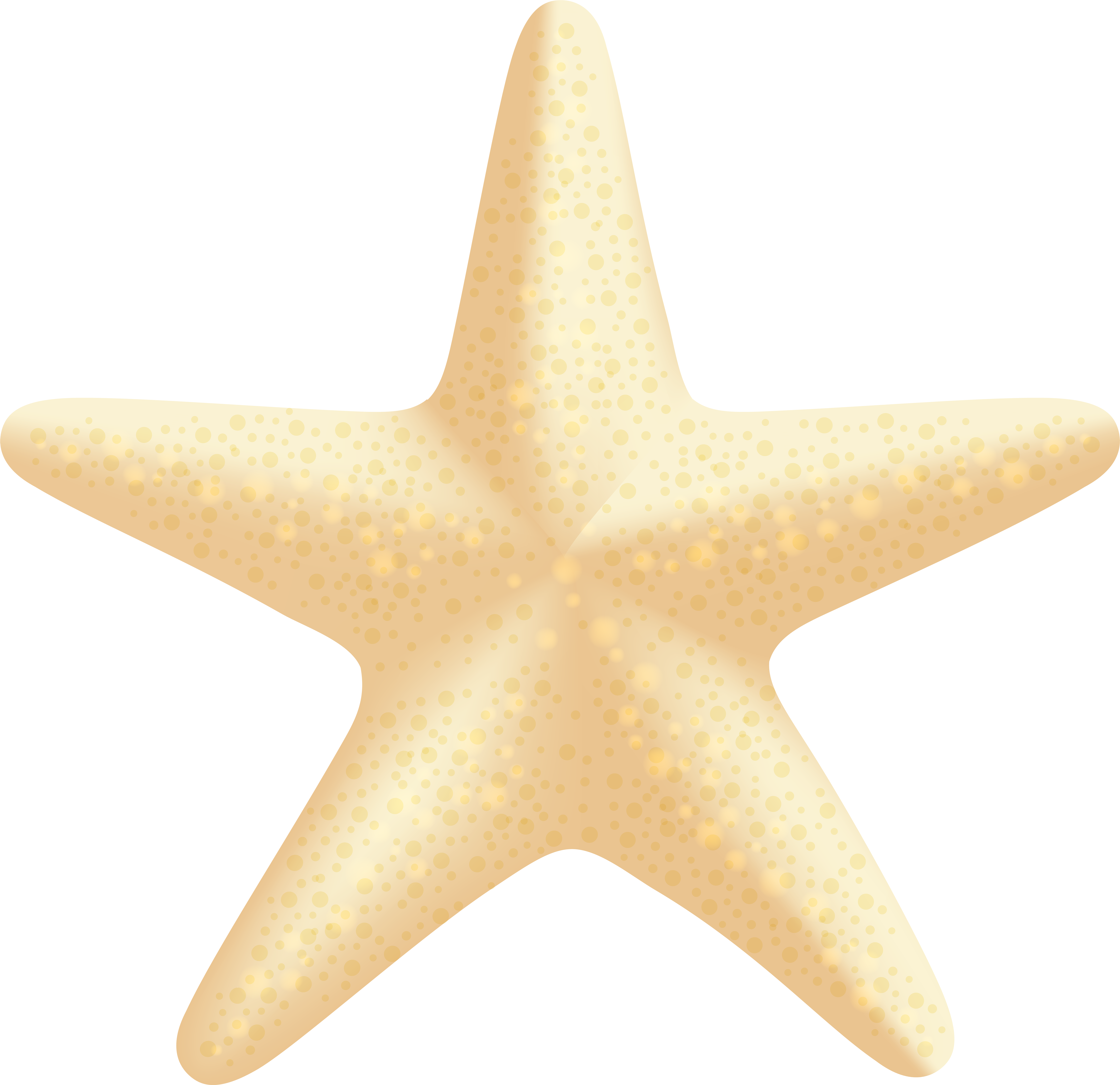 Sea Star Png Clip Art Image - Sea Star Png Clip Art Image (8000x7752)