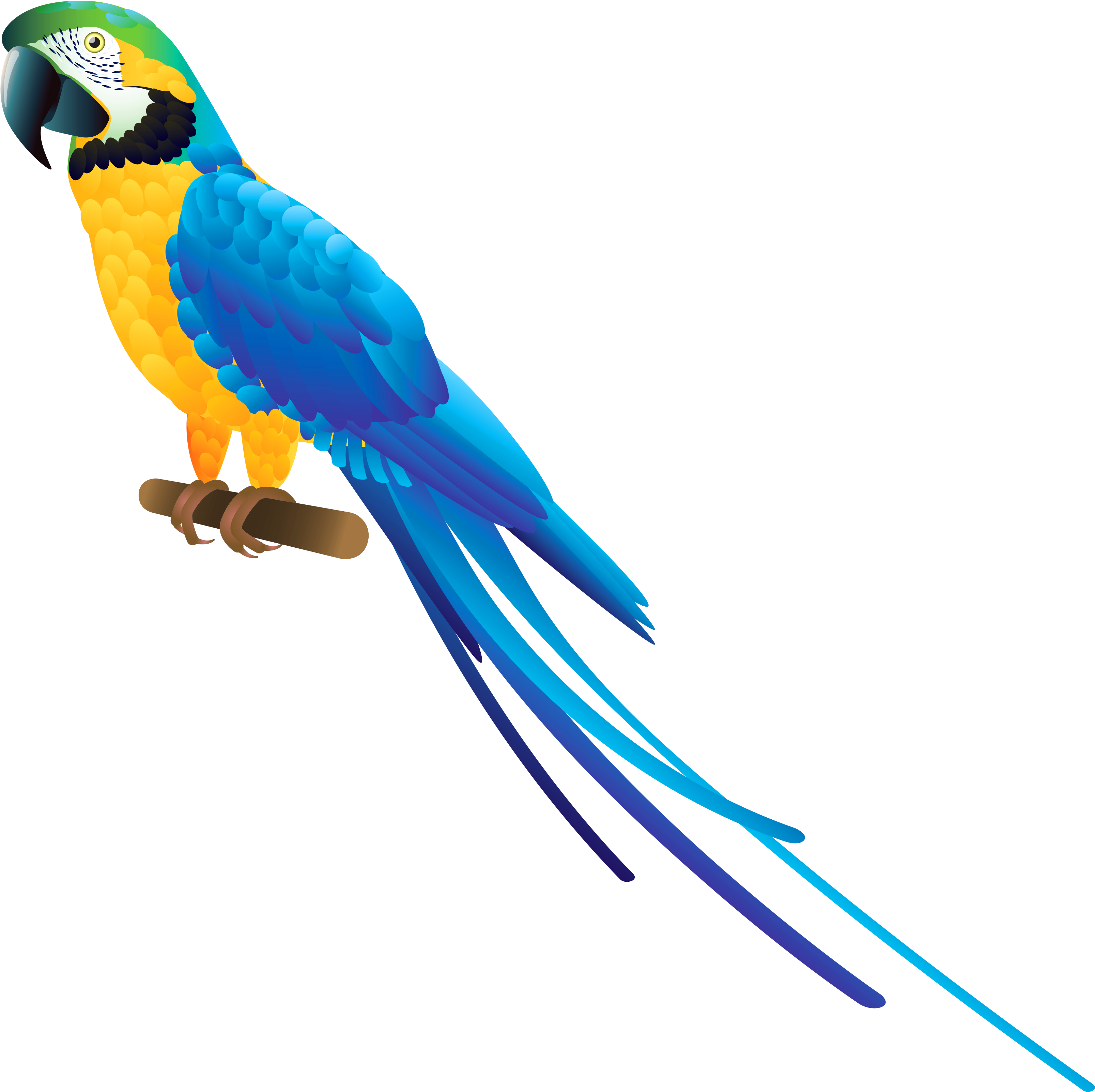 Blue Parrot Png Clipart - Blue Parrot Png (3316x3290)