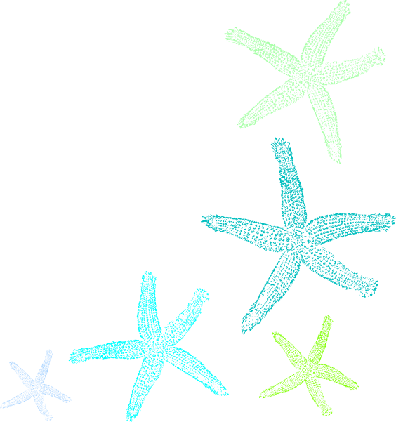 Starfish Prints Clip Art At Clker - Fish Clip Art (564x601)