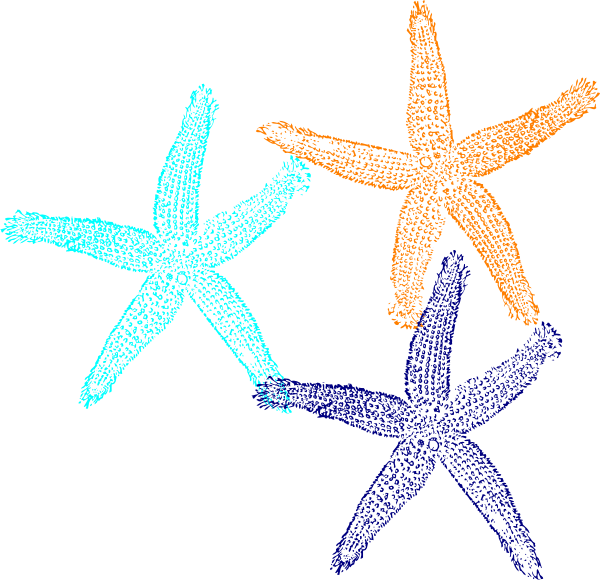 Starfish Svg Clip Arts 600 X 580 Px - Fish Clip Art (600x580)