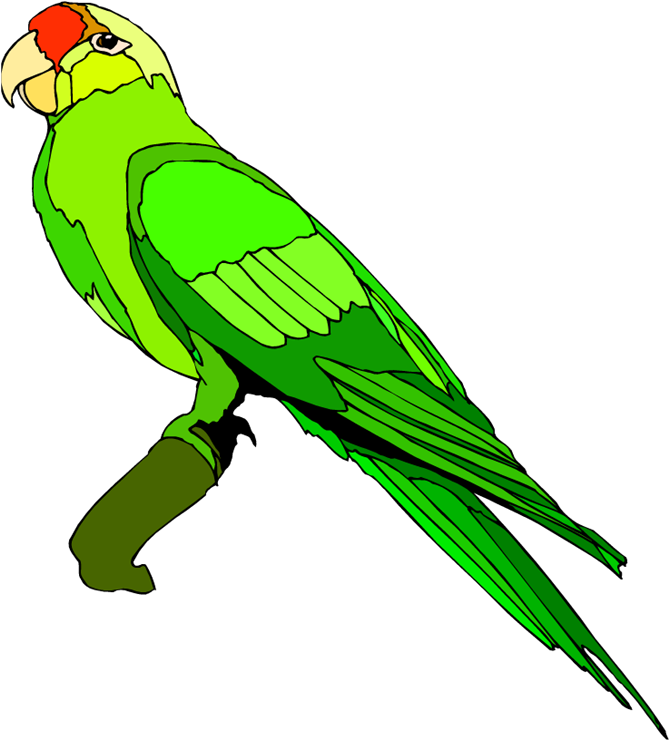 Parrot Clipart Images Parrot Clipart Images Parrot - Parrot Images Clip Art (679x750)