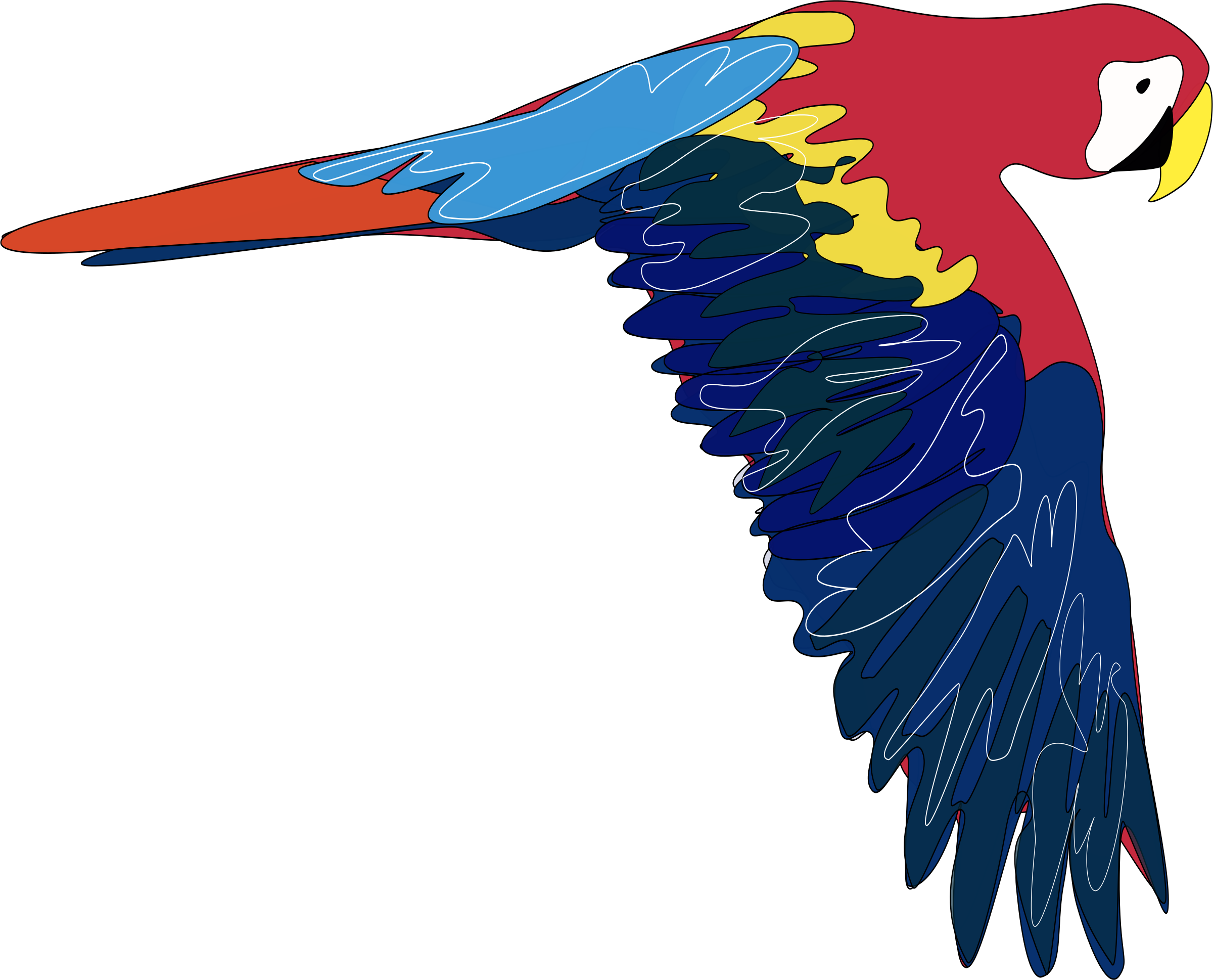 Parrot Clip Art (2400x1938)