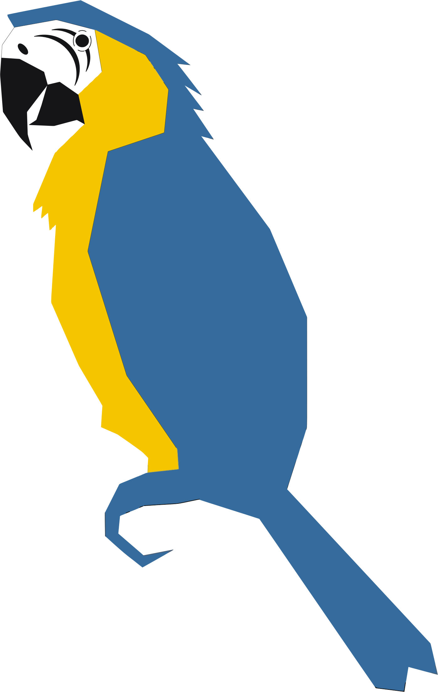 Big Image - Macaw Clipart (1397x2206)