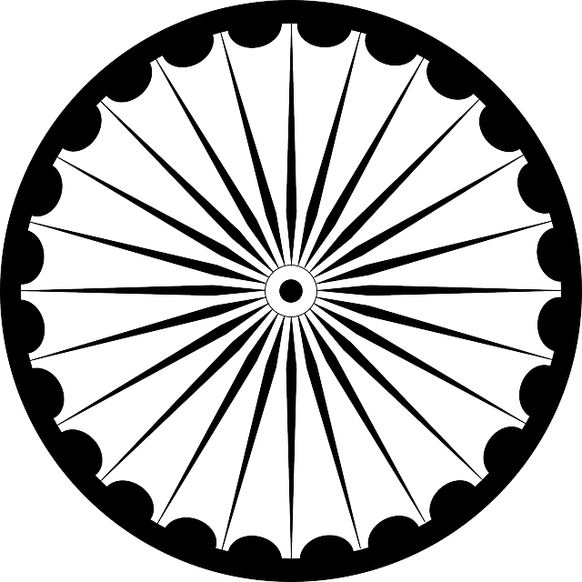 Black, Fan, Symbol, Design, Sun, Flower, Circle - Ashok Chakra Black & White (640x640)