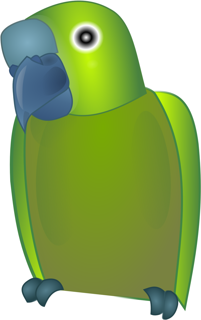 Bird2 - Green Parrot Shower Curtain (958x1350)