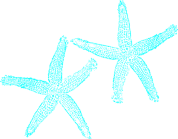 Star Fish Clip Art With No Background (600x468)
