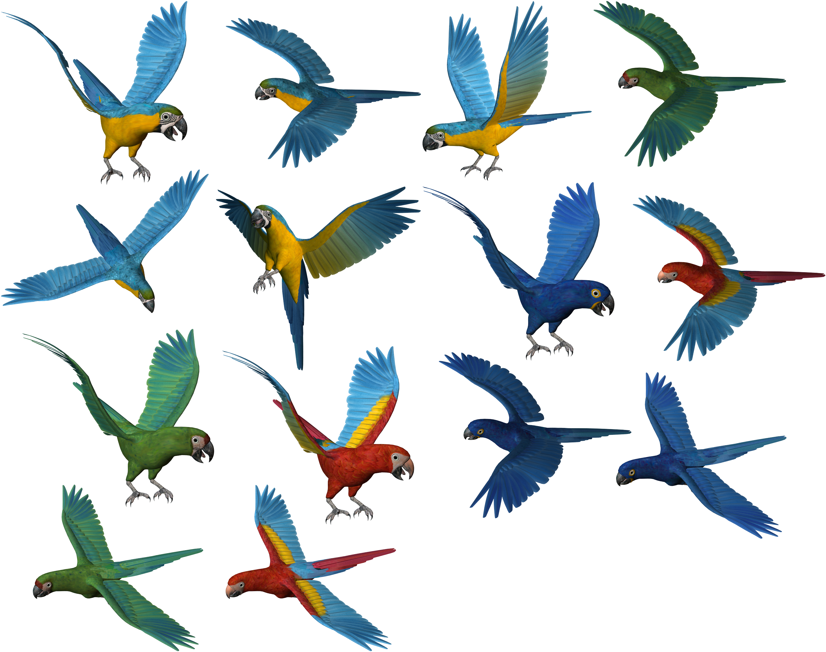 Download - Free Png Images Download (2980x2434)