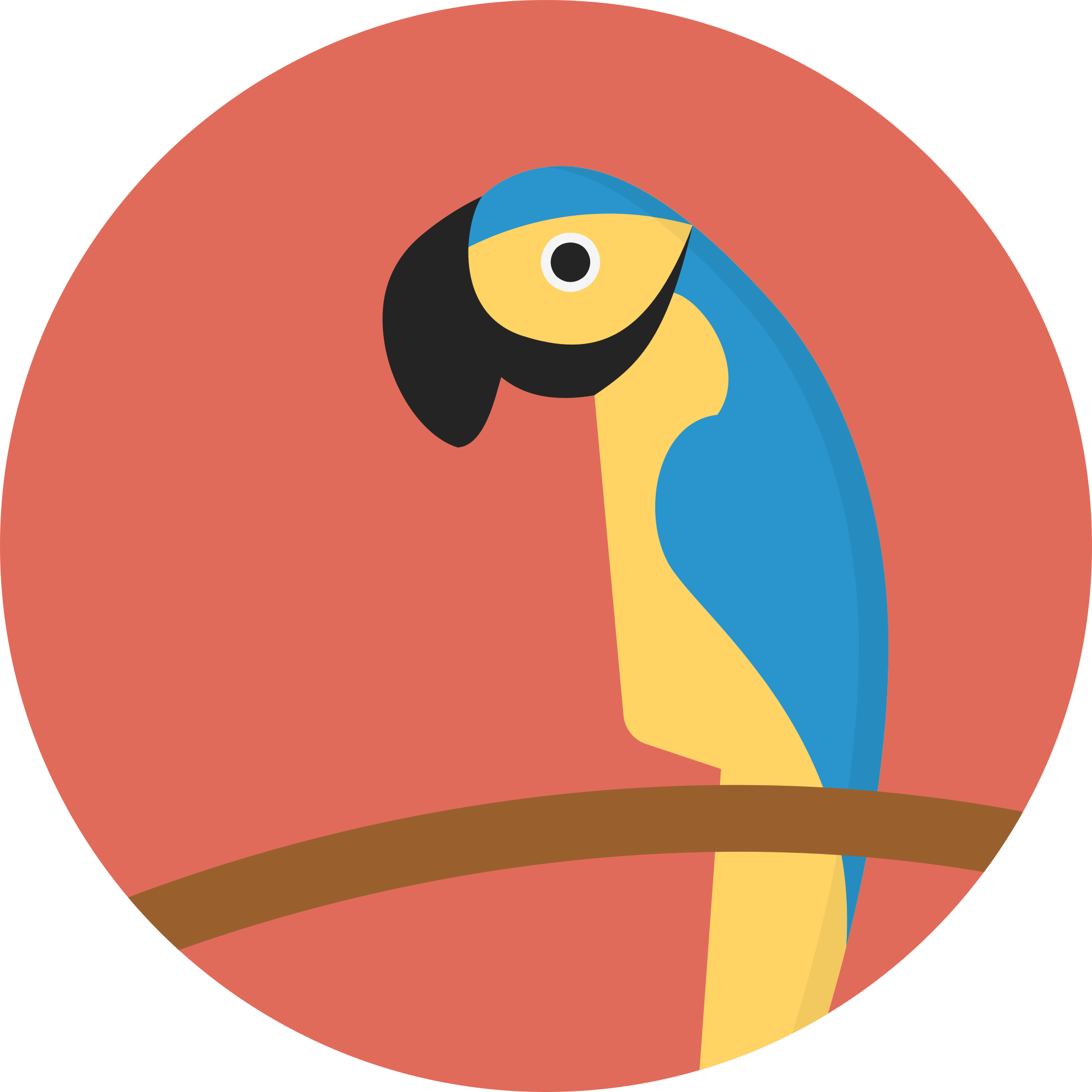 Open - Parrot In A Circle (2000x2000)