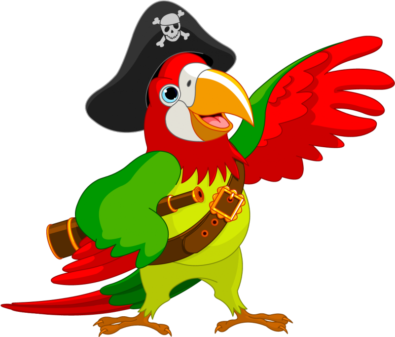Pirate Parrot Piracy Jack Sparrow Clip Art - Pirate Parrot Clip Art (800x800)
