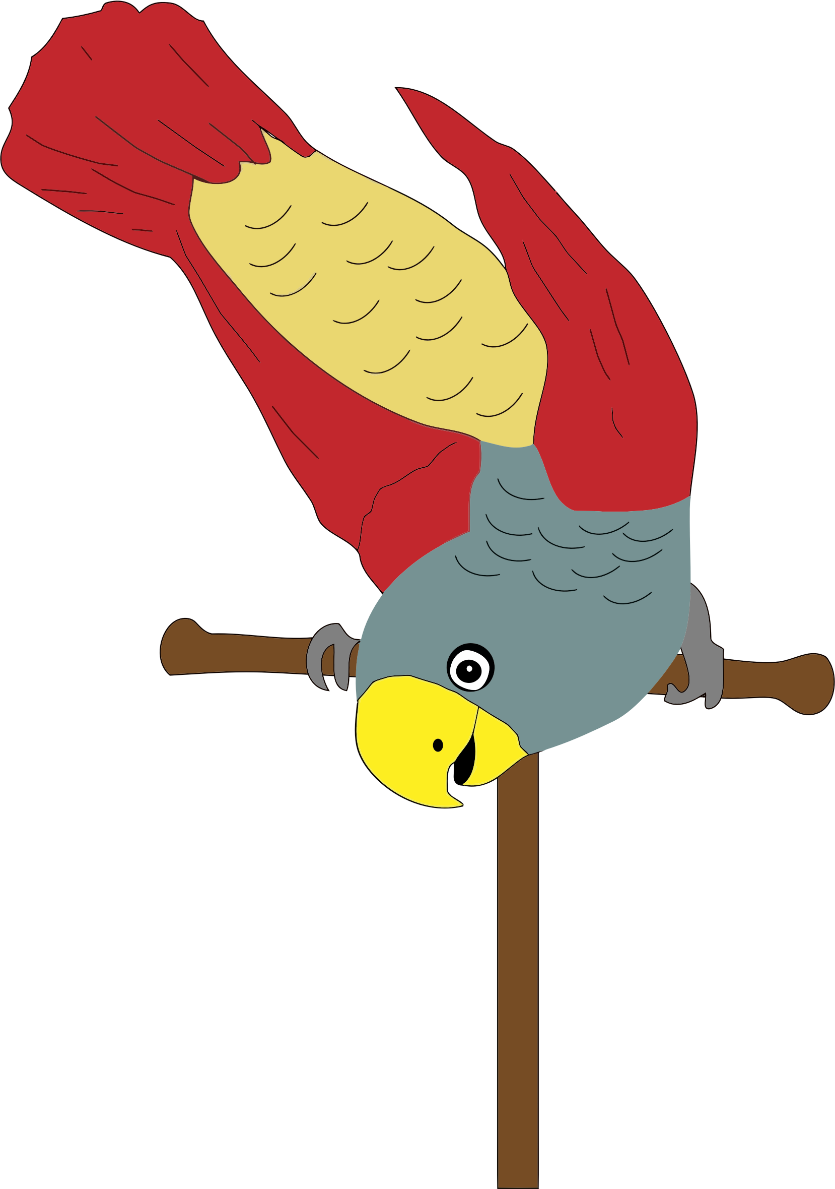 Parrot On Perch - Perch Clipart (1658x2359)