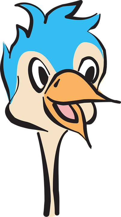 Beak Clipart Bird Face - Ostrich Head Clipart (717x1280)