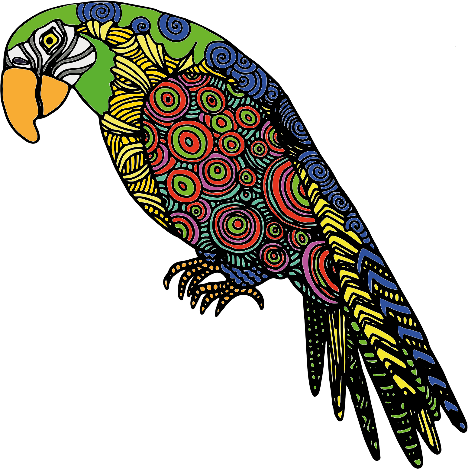 Parrot - Parrot Svg (1549x1553)