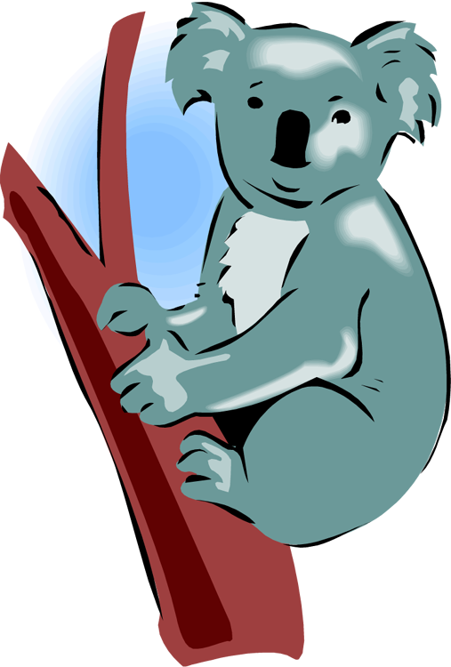 Koala Bear Clipart - Koala (507x750)