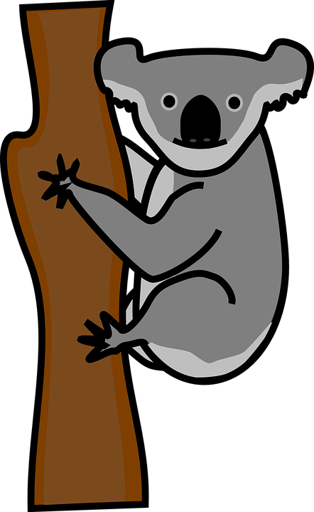 Koala Clip Art At Clker - Png Clipart Of Koala (500x814)