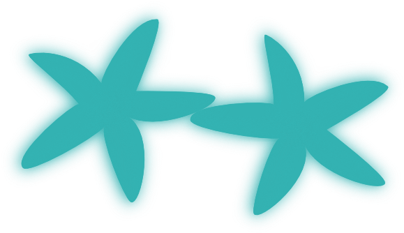 Aqua Starfish Duo Clip Art - Clip Art (600x355)