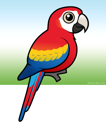 Scarlet Macaw Macaw Clipart (360x414)