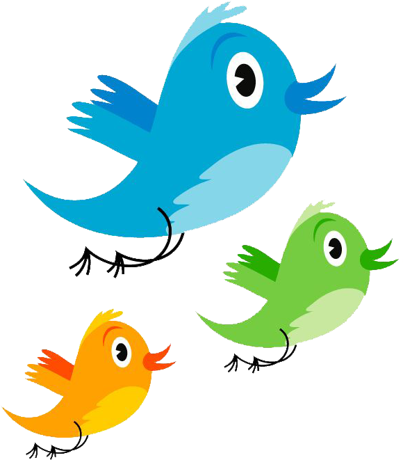 Cute Parrot Png Photos - Bird Vector (600x675)