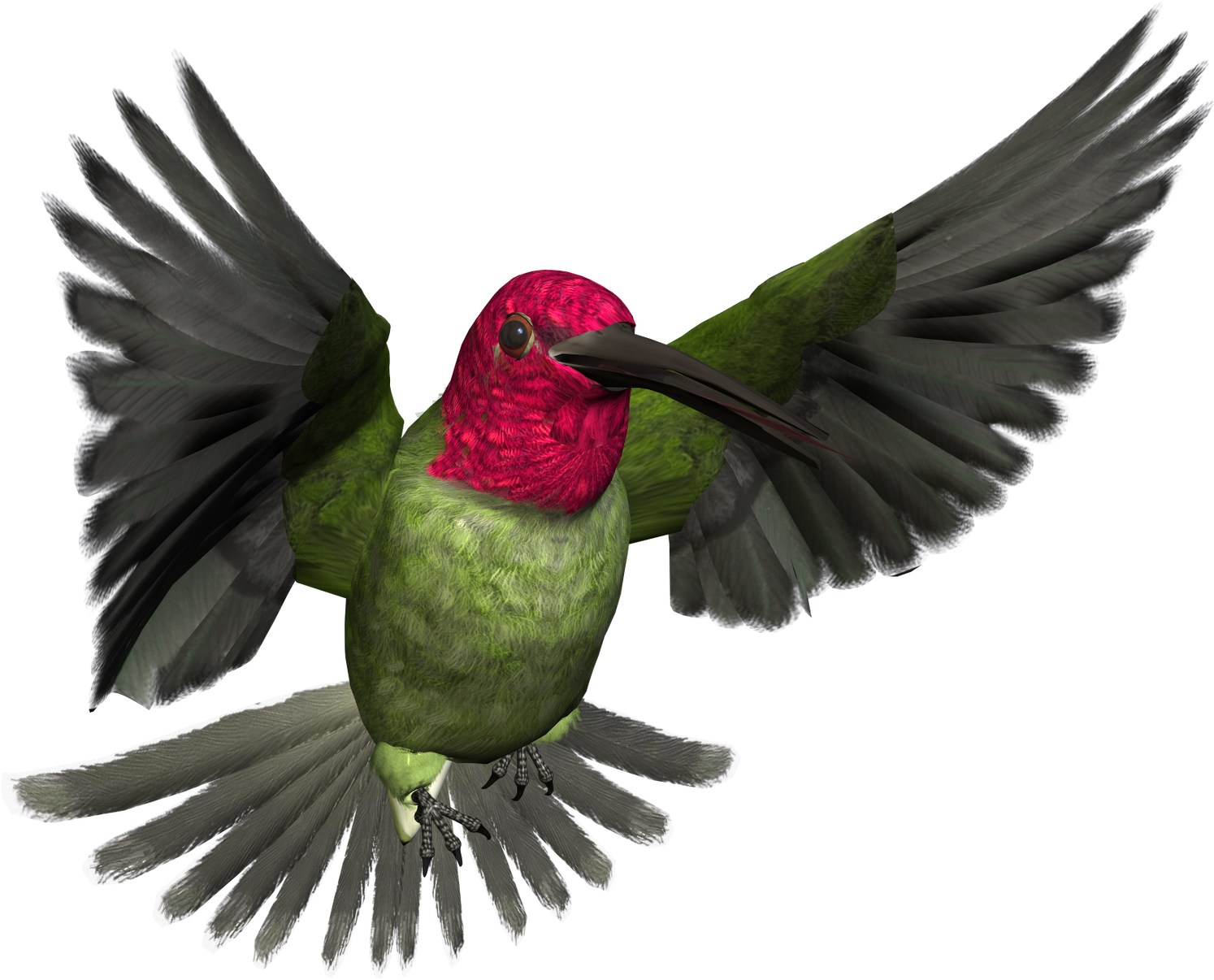 Free High Resolution Graphics And Clip Art - High Resolution Bird Art (1600x1600)
