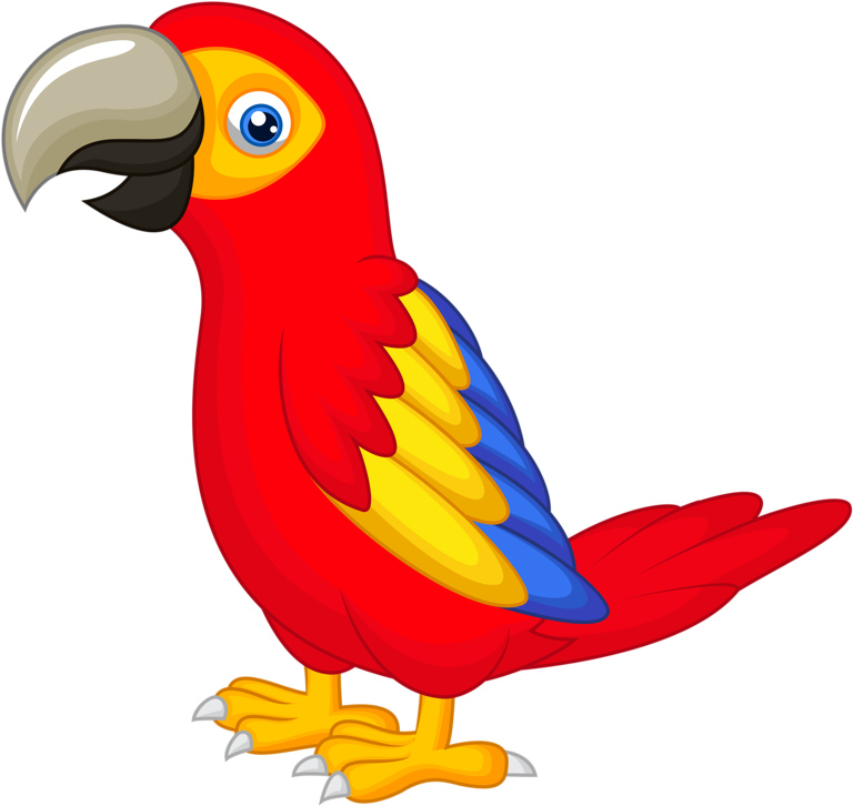 Parrot Talking Bird Clip Art - Parrot Clipart (800x755)