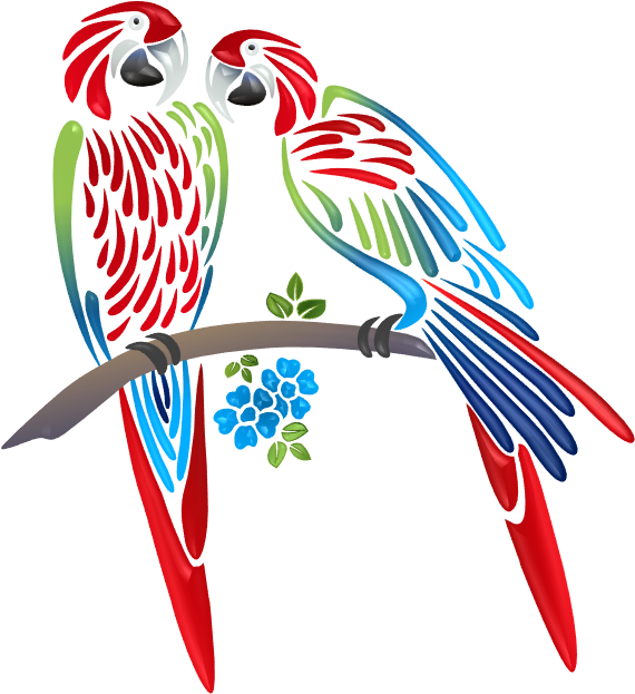 Parrots Illustrations - Illustration (582x648)