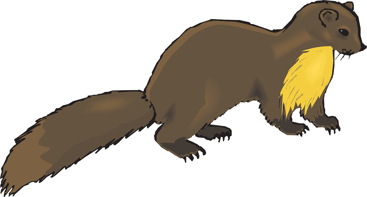 European Pine Marten Weasel Otter Mink Clip Art - Mink Clipart (1280x688)