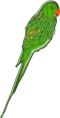 Papegøye Png (300x595)
