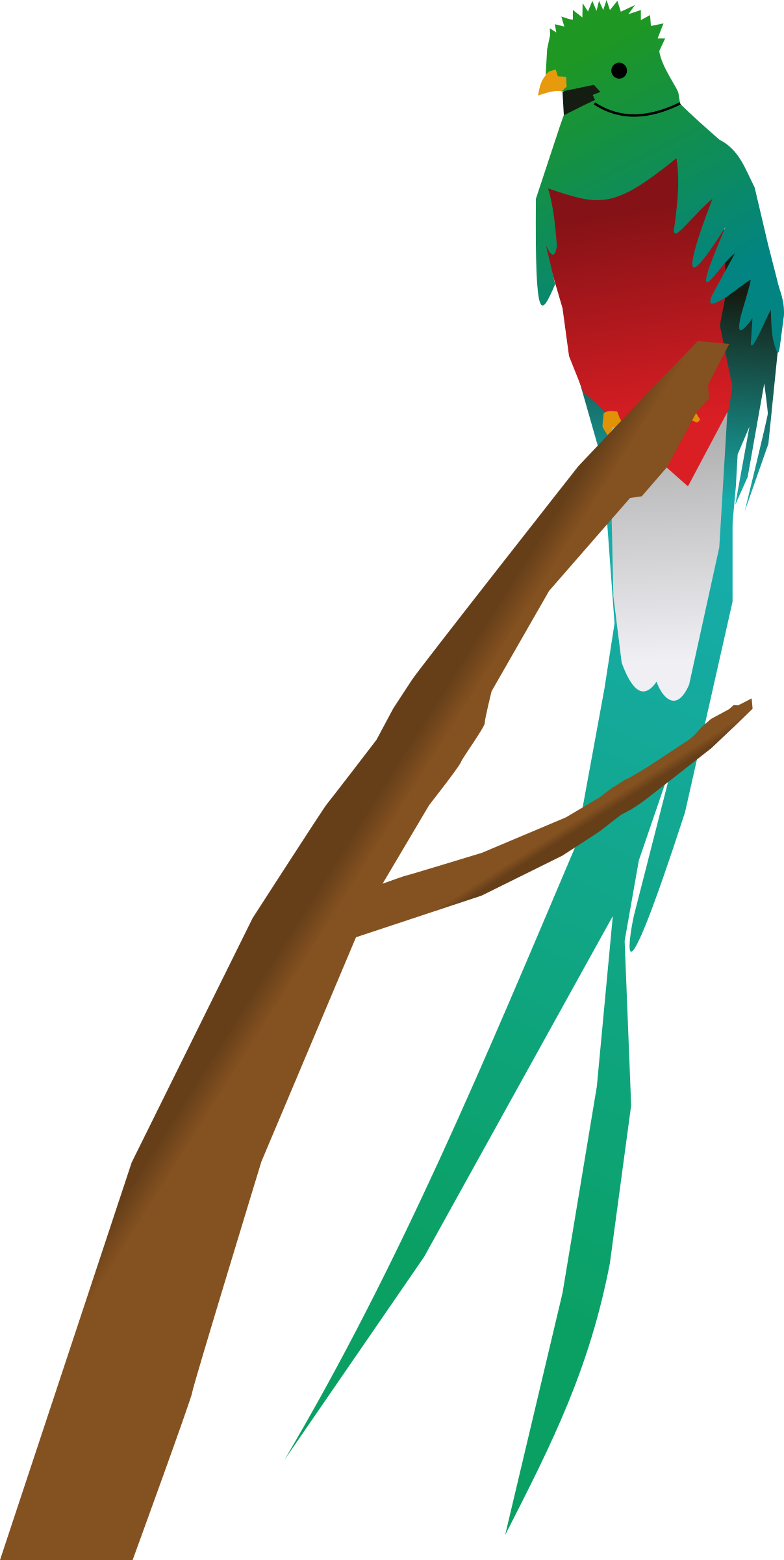 Quetzal - Quetzal Clipart (1207x2400)