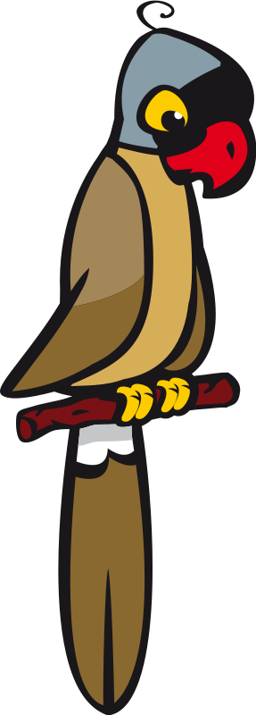 Mascarin Parrot - Kartun Burung Bayan (500x1000)