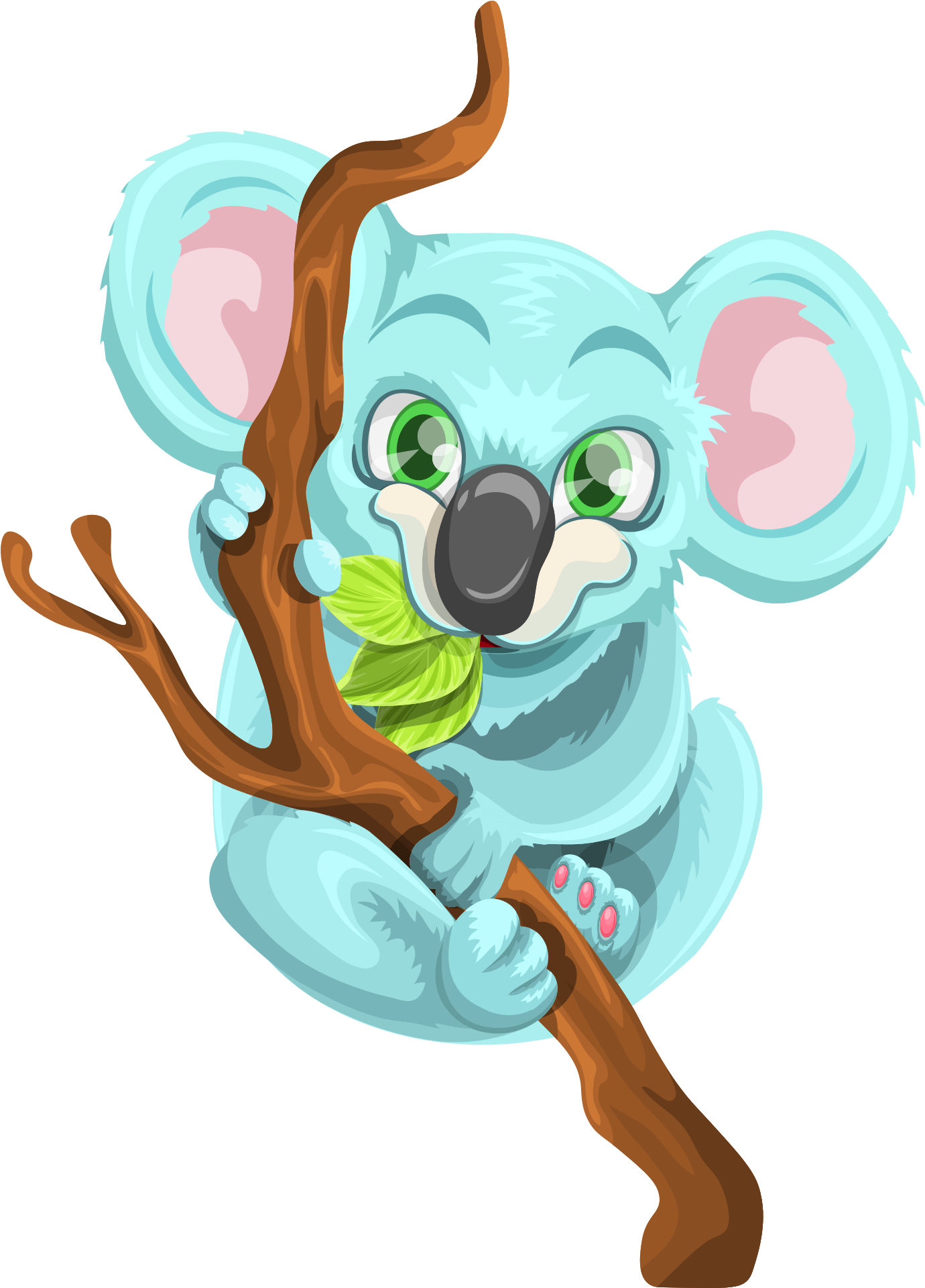Koala Vector Png Transparent Image - Portable Network Graphics (1629x2142)
