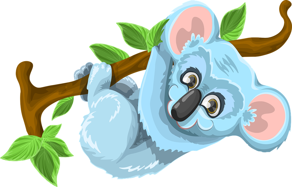 Koala Animal Cute Tree Stick Leaf Green Bl - หมี โค อา ล่า การ์ตูน (1280x819)