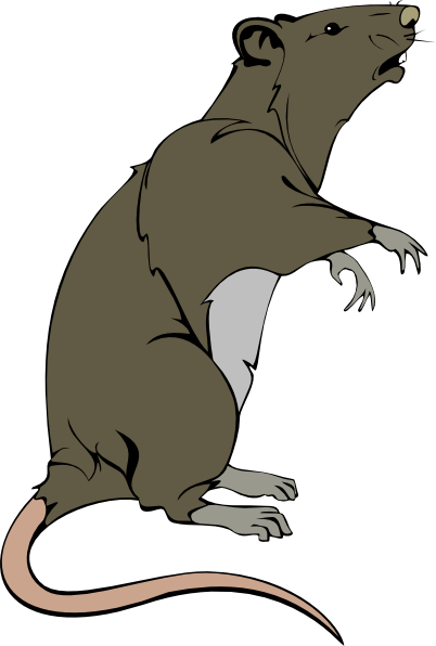 Dead Rat Clip Art (402x596)