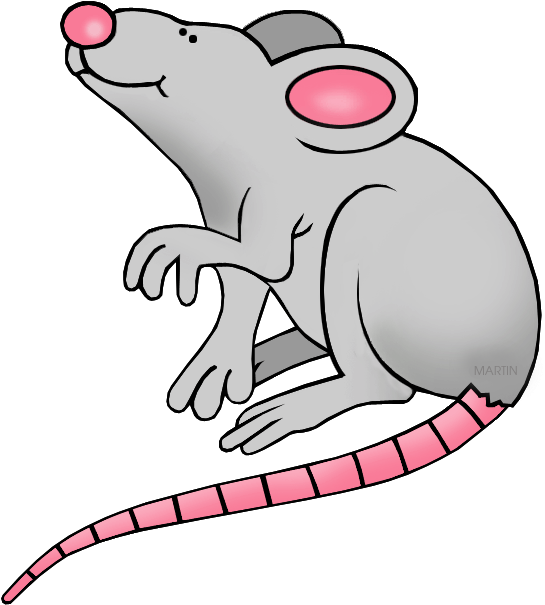 Rat - Clip Art (590x648)