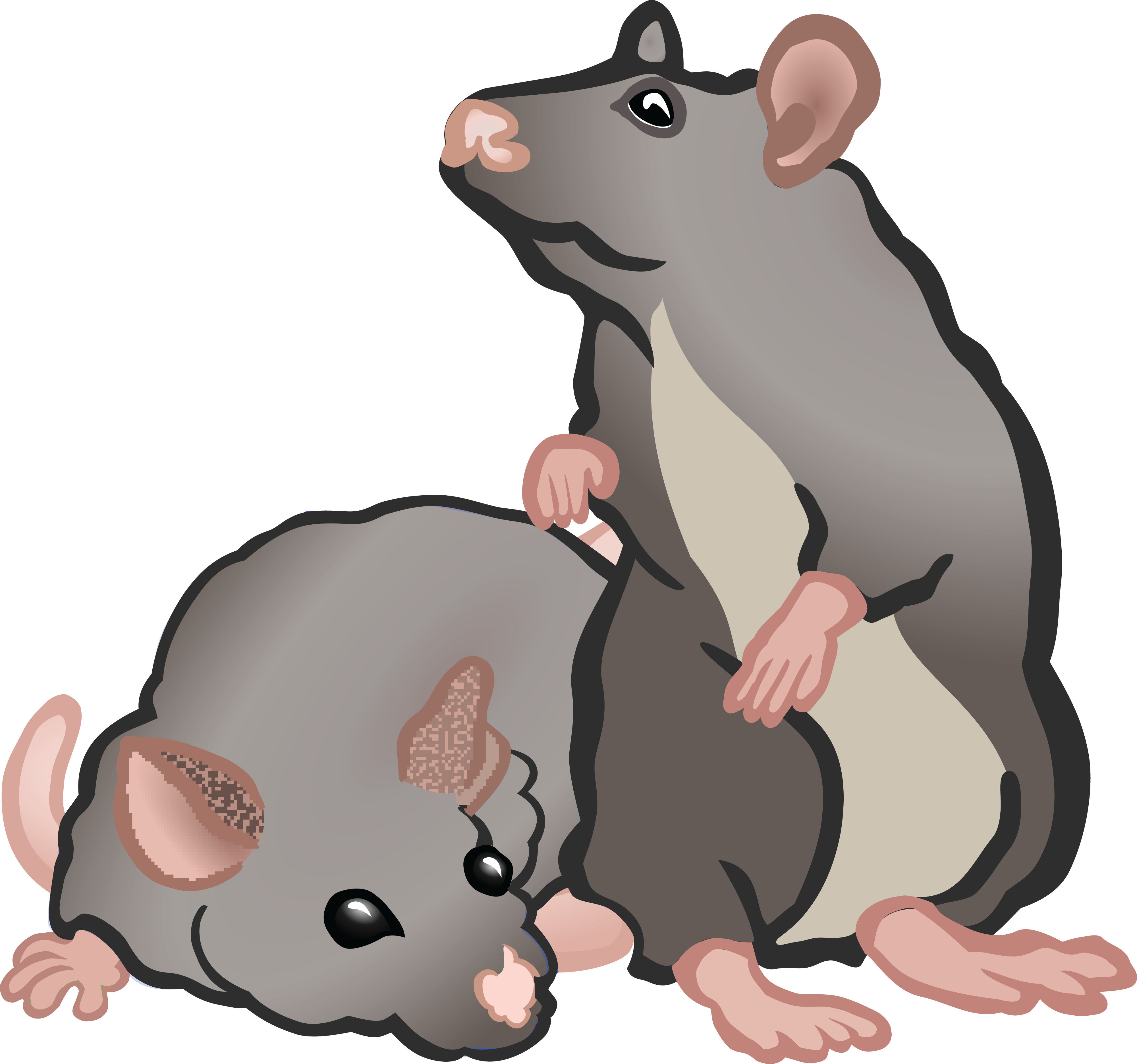 Free Clipart Of Rats Or Mice - Clipart Mäuse (4000x3742)