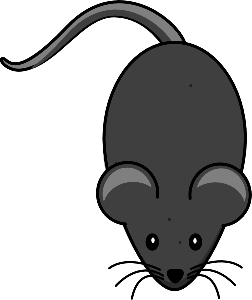 Mouse With Grey Tail Clip Art At Clker - Mouse Clip Art (504x598)