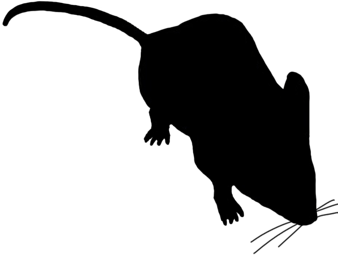 Little Mouse Sniffing Around - Mouse Silhouettes (709x577)