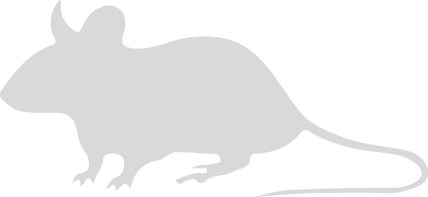 Rat (1492x688)